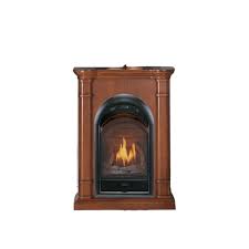 Procom Fireplaces Stoves For
