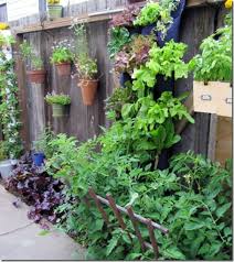 space with creative vertical gardens
