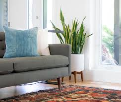 where to rugs in toronto