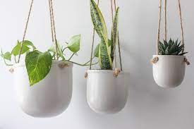 Minimalist Hanging Planter Pot In Matte