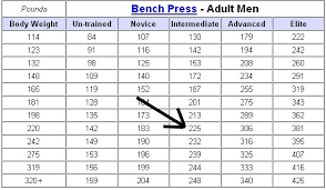 Average Bench Press By Age And Weight Chart Luxury Bench