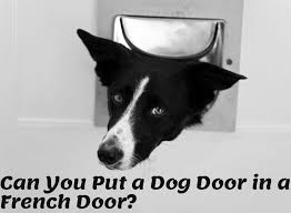 Can You Put A Dog Door In A French Door