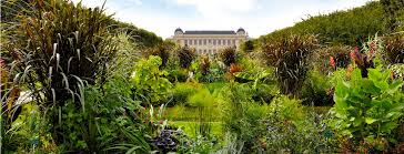 The jardin des plantes is divided into several sections. Jardin Des Plantes Garden Of Plants Museum National D Histoire Naturelle