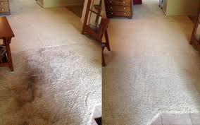 bellevue carpet cleaning deals in and
