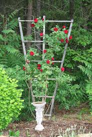 How To Build A Trellis For Climbing