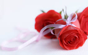 Beautiful flowers rose images free download. 75 Red Roses Wallpaper On Wallpapersafari