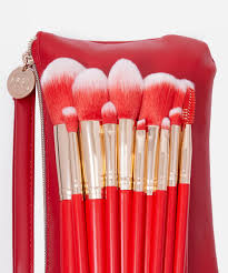 la fierce 12 piece face eye brush set