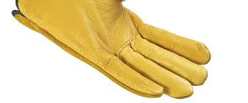 Best Gardening Gloves Uk Thorn Proof