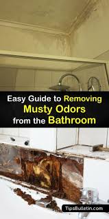 Musty Smells In The Bathroom Clever