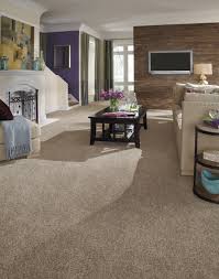 carpeted floors photos ideas houzz