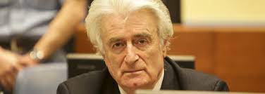 Although officially subordinate to the political leader of the bosnian serbs, radovan karadzic, ratko mladic was never just a soldier; Icty Finds Radovan Karadzic Guilty Of Srebrenica Genocide And Of International Crimes Committed In Bosnia Herzegovina