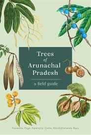 the woody wonders of arunachal pradesh