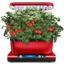 grow indoor veggies herbs and flowers