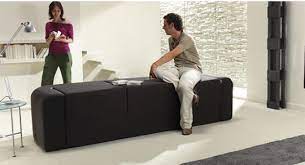 Contemporary Multifunction Sofa