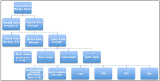 Direct Marketing Organizational Chart Example From Bihar