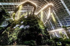 cloud forest at gardens by the bay
