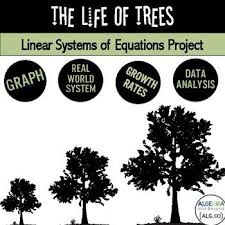 Real World Systems Of Linear Equations