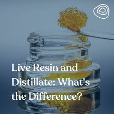 live resin and distillate what s the