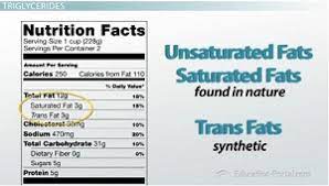 lipids structure function exles