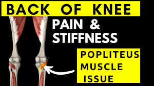 back of knee pain stiffness popliteus