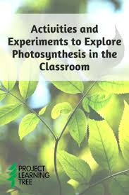 Explore Photosynthesis In The Classroom