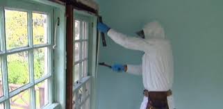 Removing Lead Paint And Plaster From