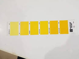 Yellow Nippon Paint Pg62 Shade Card