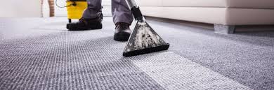 organic carpet cleaning service
