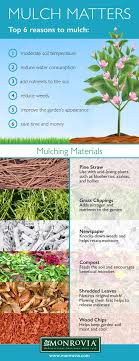 6 Reasons To Mulch 1 Moderate Soil