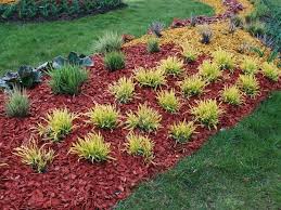Mulch Colors How To Choose The Right