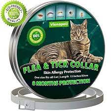 cat flea treatment cat collar flea