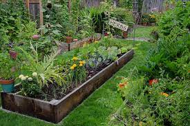 Are Backyard Gardens A Weapon Against