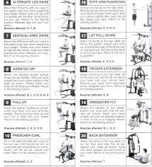 72 Exhaustive Weider Pro 9925 Exercise Chart