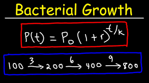 solve bacteria growth math problems