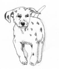 This dachshund puppy print is a very cute illustration showing the puppy admiring. Dog Sketches Pencil Drawings Of Dogs