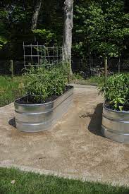 Galvanized Stock Tank Veggie Garden
