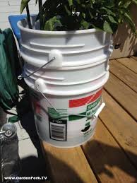 Self Watering Pots For Rooftop Garden