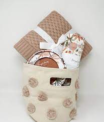 baby fox palm springs gift basket