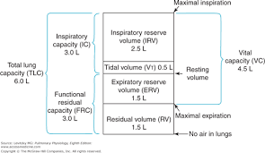 alveolar ventilation basiccal key