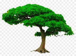 Zip and unzip your files with ease. All New Tree Png Zip File Photoshop Editing Png Picsart Tree Png For Editing Transparent Png 1166x804 315143 Pinpng