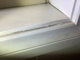 leaking window frames can cause