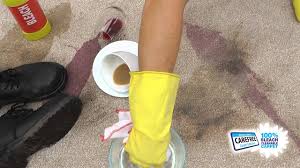 dealing with carpet stains for