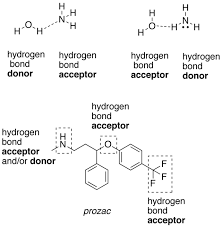 Hydrogen Bond Wikiwand