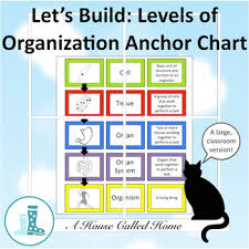 Lets Build Levels Of Organization Anchor Chart