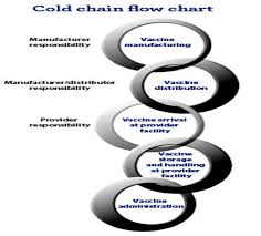 Cold Chain Flow Chart Download Scientific Diagram