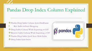 pandas drop index column explained