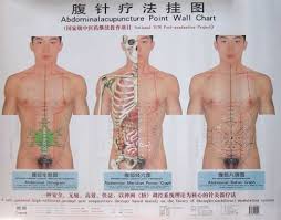 Abdominal Acupuncture Points Wall Chart Amazon Co Uk