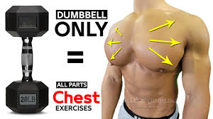 best chest exercises with dumbells only