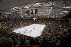 34 Best Home Of The Golden Gophers Images University Of