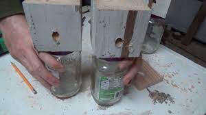 super easy carpenter bee trap how to